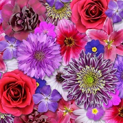 Пазл: Море цветов