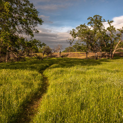 Пазл: Дорога в поле