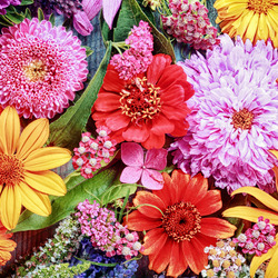 Пазл: Море цветов