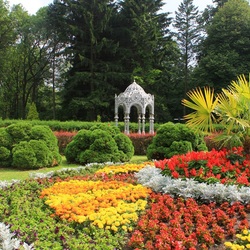 Пазл: Ботанический сад