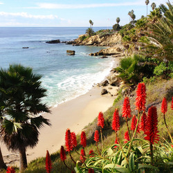 Пазл: Лагуна-Бич