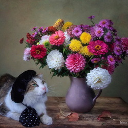 Пазл: Кот и букет цветов