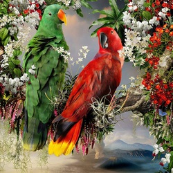 Пазл: Благородные зелёно-красные попугаи