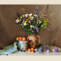 Пазл: Полевые цветы 