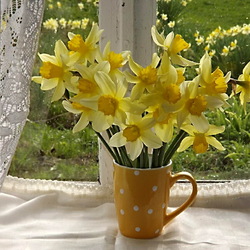 Пазл: Весна на подоконнике