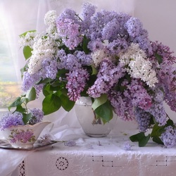 Пазл: Сирень на столе