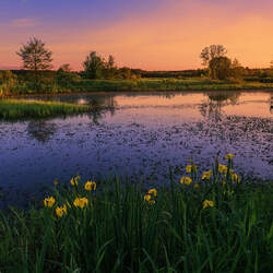 Пазл: Весна на Немане