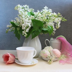 Пазл: Белая сирень