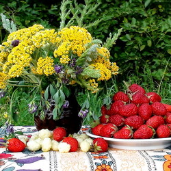 Пазл: Наше лето