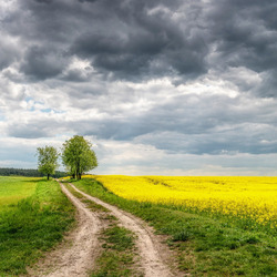 Пазл: Погода перед дождем