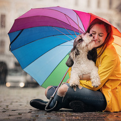 Пазл: Девушка с зонтом и собакой