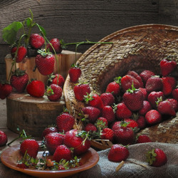 Пазл: Летняя вкуснятина