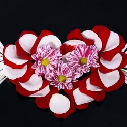 Пазл: Из лепестков роз