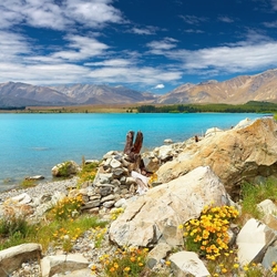 Пазл: Озеро Тепако, Новая Зеландия