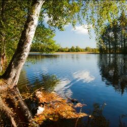 Пазл: Красоты Карелии