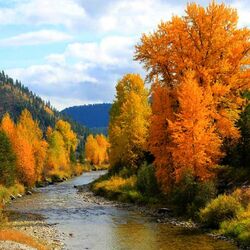 Пазл: Чудесные краски осени