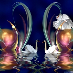 Пазл: Лебеди