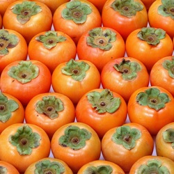 Пазл: Хурма