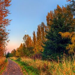 Пазл: Осенний пейзаж