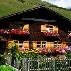 Пазл: Альпийский дом