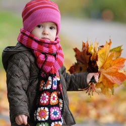 Пазл: По кленовой аллее