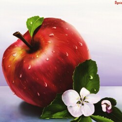 Пазл: Яблоко