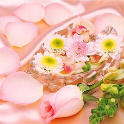 Пазл: Лепестки роз