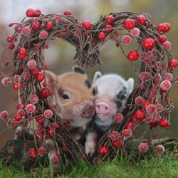 Пазл: Мини-пигги