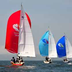 Пазл: Гонки