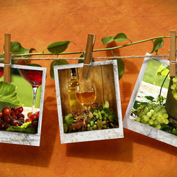 Пазл: В память о путешествии по виноградникам