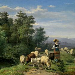Пазл: Пастушка и отара на природе
