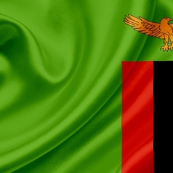 Пазл: Флаг Замбии