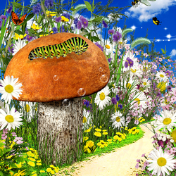 Пазл: Волшебный лес