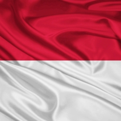 Пазл: Флаг Индонезии