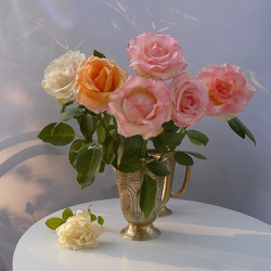 Пазл: В вечерних лучах