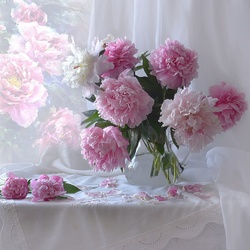 Пазл: Июнь почти готов поставить точку 