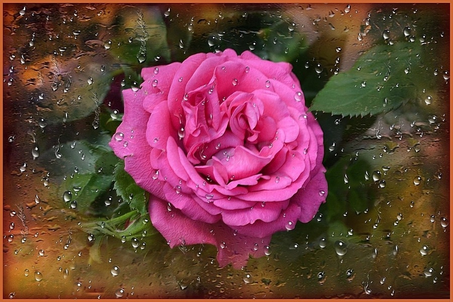 Пазл «Дождливое озарение --» из 260 элементов | Собрать онлайн пазл №219967