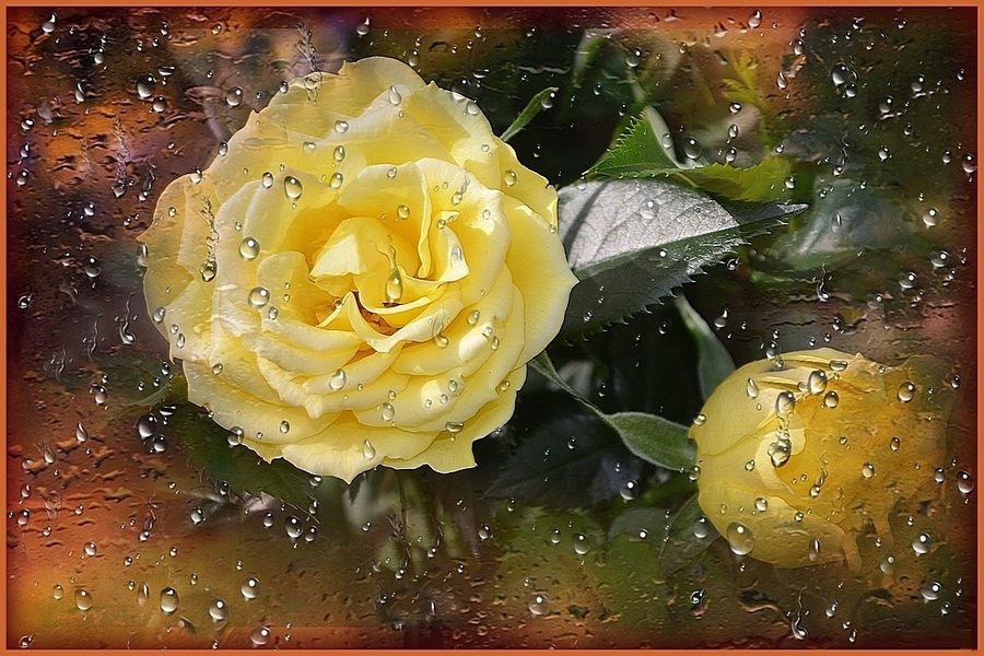 Пазл «Дождливое озарение --» из 260 элементов | Собрать онлайн пазл №219995