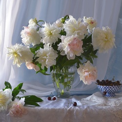 Пазл: Пионы нежные, пионы снежные 