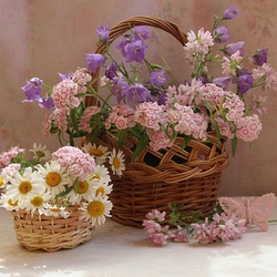 Пазл: Цветы июня 