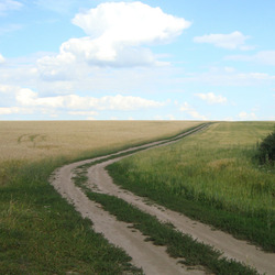 Пазл: Просторы природы