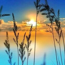 Пазл: Закат