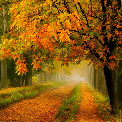 Пазл: Осенний парк