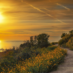 Пазл: Закат на берегу моря