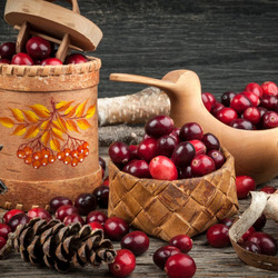 Пазл: Кузовок клюквы