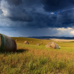 Пазл: Поле с сеном