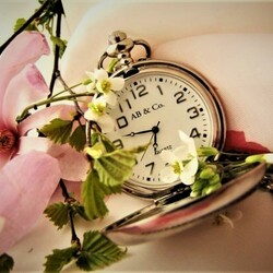 Пазл: Летнее время