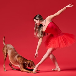 Пазл: Танцоры и собаки