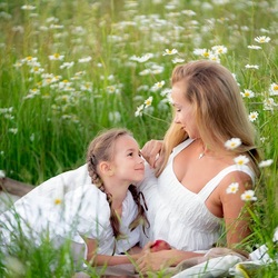 Пазл: Ромашковое поле