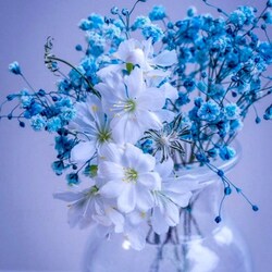 Пазл: Нежность